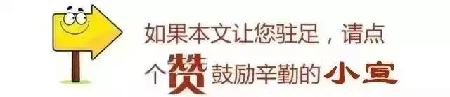 资深篮球教练推荐的训练规矩_2